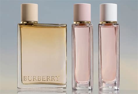 falkoni parfum burberry|burberry perfume macy's.